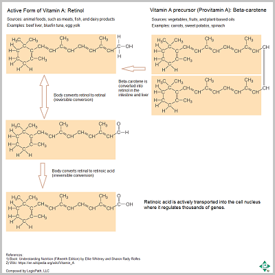 Vitamin A Chemistry Structure