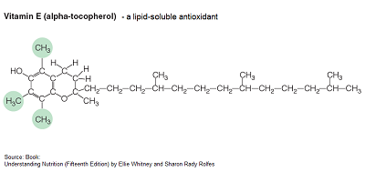 Vitamin E Chemistry Structure