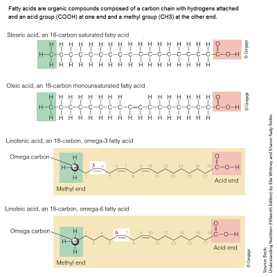 Fatty Acids Chemistry Structure (click to view detail)