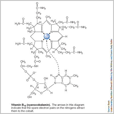 Vitamin B12 Chemistry Structure