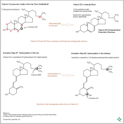 Vitamin D Chemistry Structure (click to view detail)